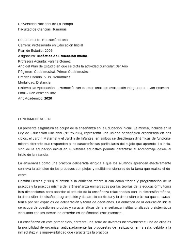 Didactica De Educacion Inicial | PDF | Educación De La Primera Infancia | Prueba (evaluación)