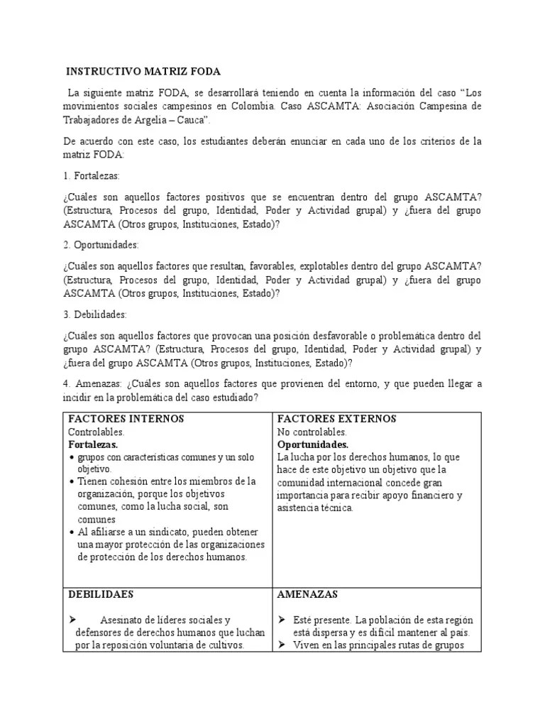 Instructivo Matriz Foda | PDF | Análisis FODA | Economias