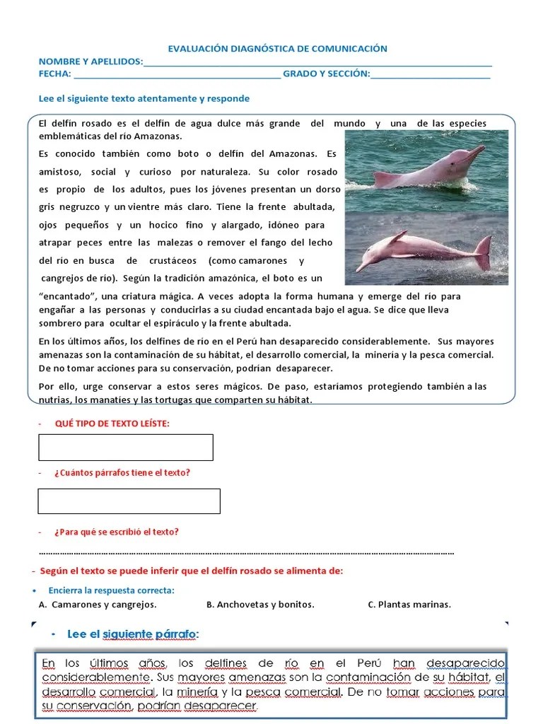 Evaluación Diagnóstica De Comunicación - Docx Modificado | PDF | Cilantro | Cocinando