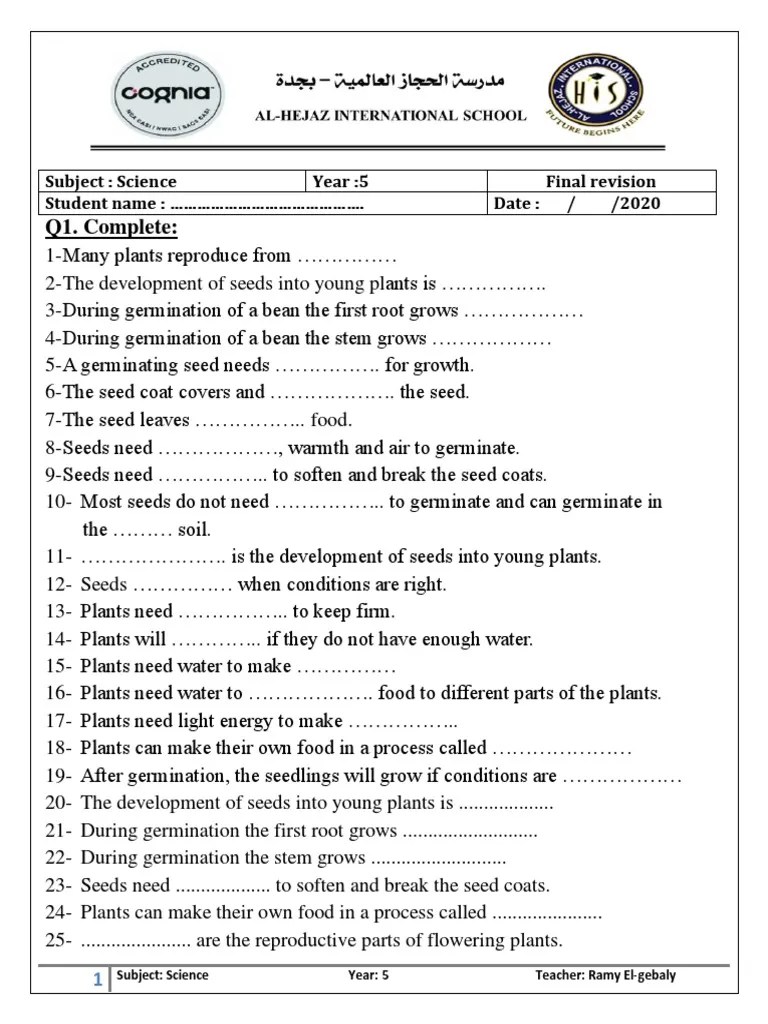 science final revision worksheet 1st term pdf germination seed