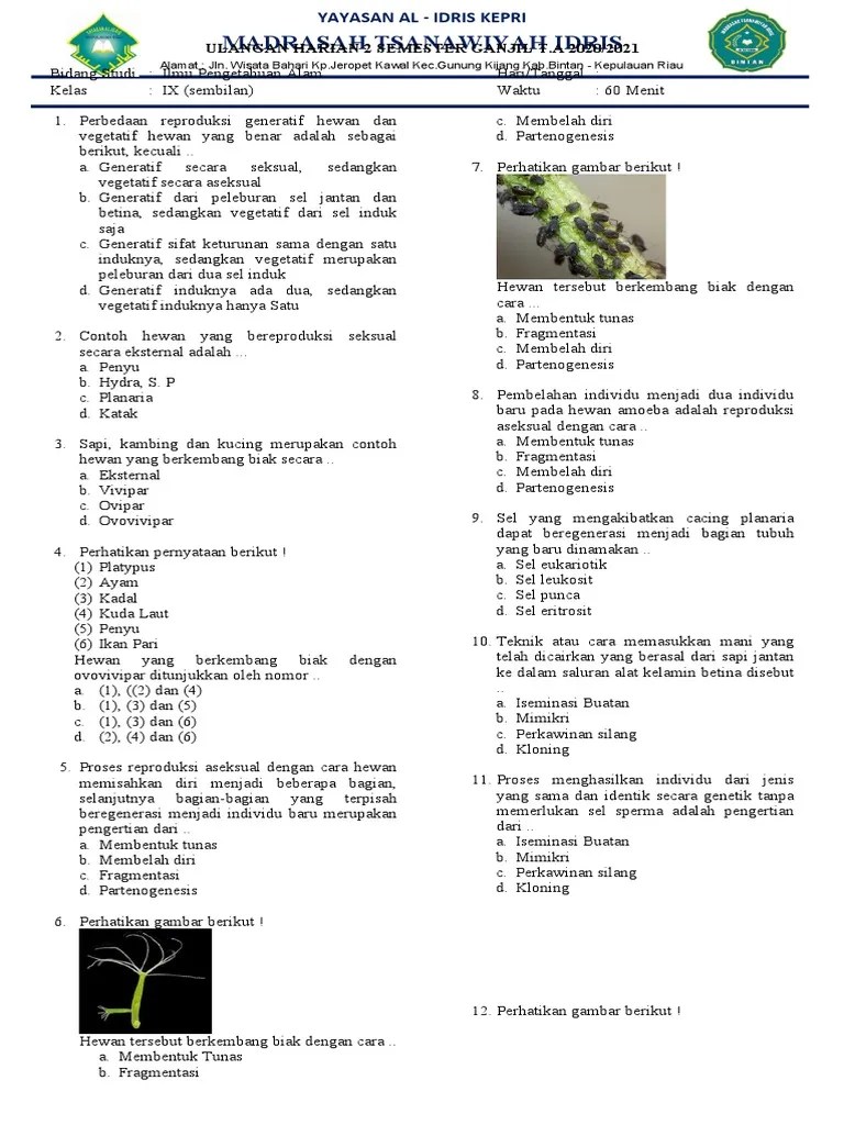Contoh cara perkembangbiakan pada tumbuhan secara generatif adalah konjugasi, isogami, anisogami dan penyerbukan. Soal Pas Ipa Kelas 8 Semester Genap Pdf