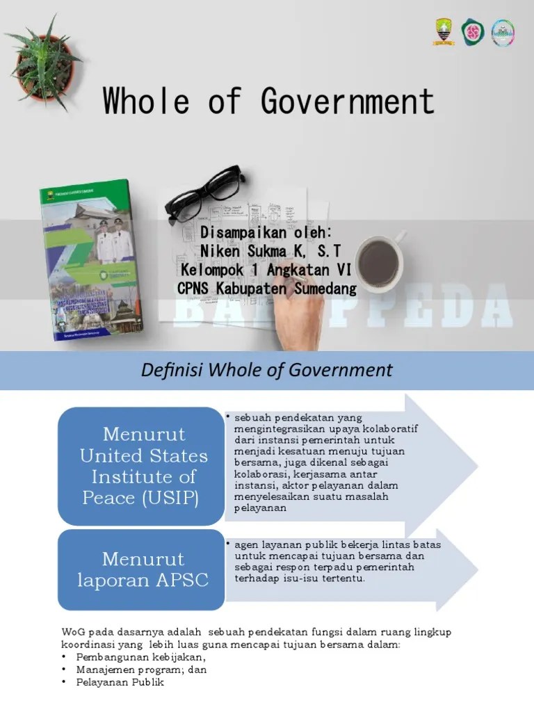 Whole of Government | PDF