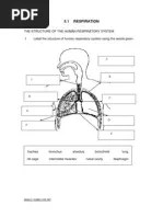 Learn who needs to use immigration form ds 160. Form 3 Chapter 4 Pdf Reproductive System Biological Interactions