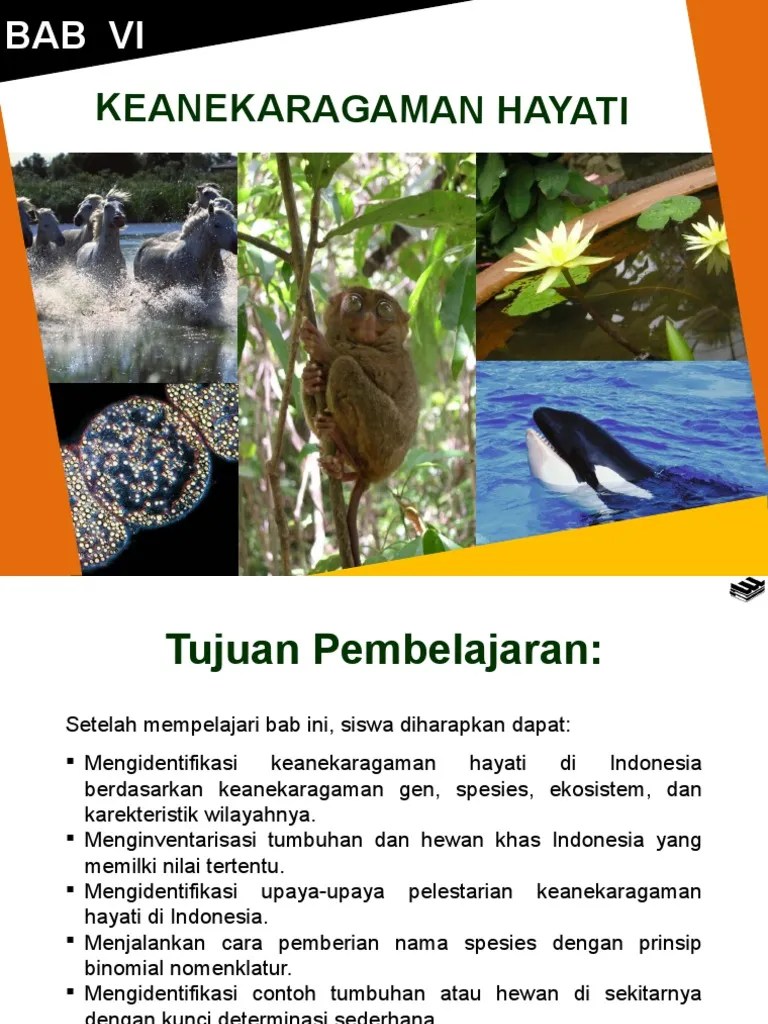 Bab 6 Keanekaragaman Hayati | PDF