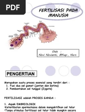Artikel biologi kelas xi kali ini akan menjelaskan tentang fertilisasi, kehamilan, dan persalinan bagi remaja. Fertilisasi Pada Manusia Pdf