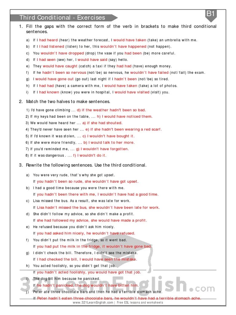 Third Conditional - Exercises | PDF