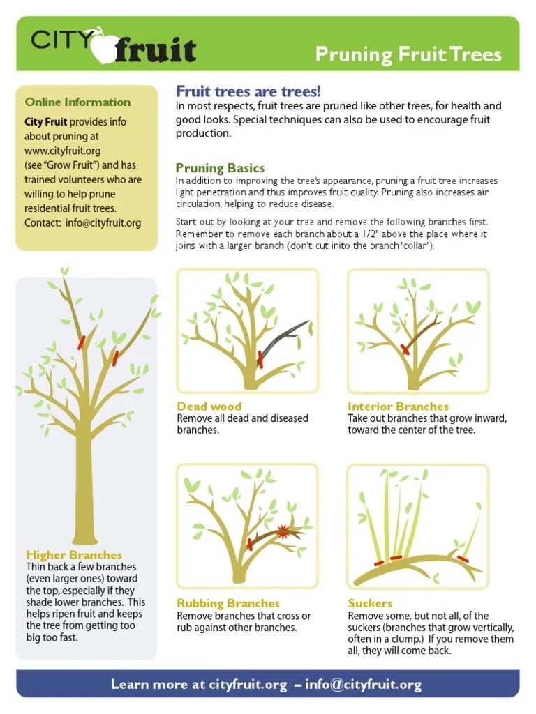 Pruning | PDF | Pruning | Trees