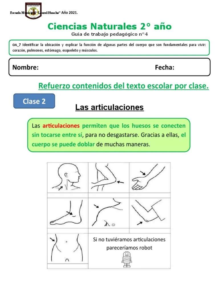 2° - Envío - Clase 4 Las Articulaciones | PDF