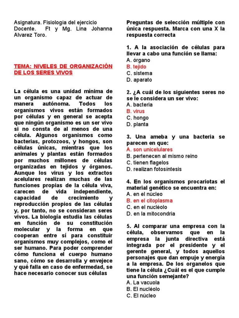 Taller NO. 1 De Niveles De Organizacion | PDF | Biología Celular) | Cloroplasto