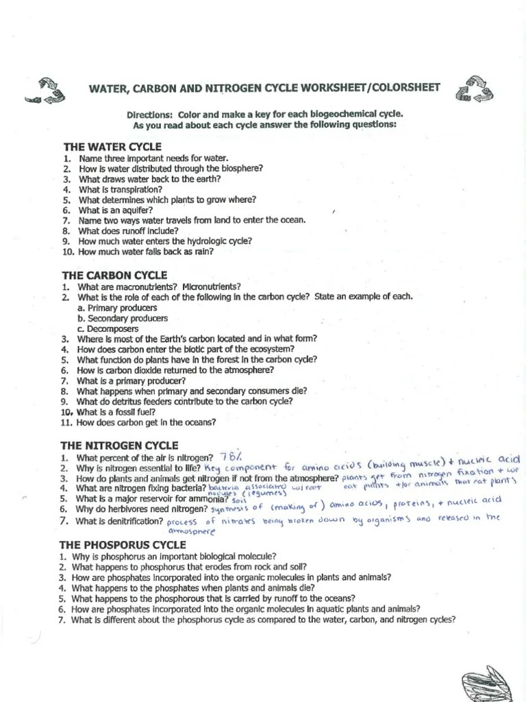 Nitrogen cycle worksheet answer key
