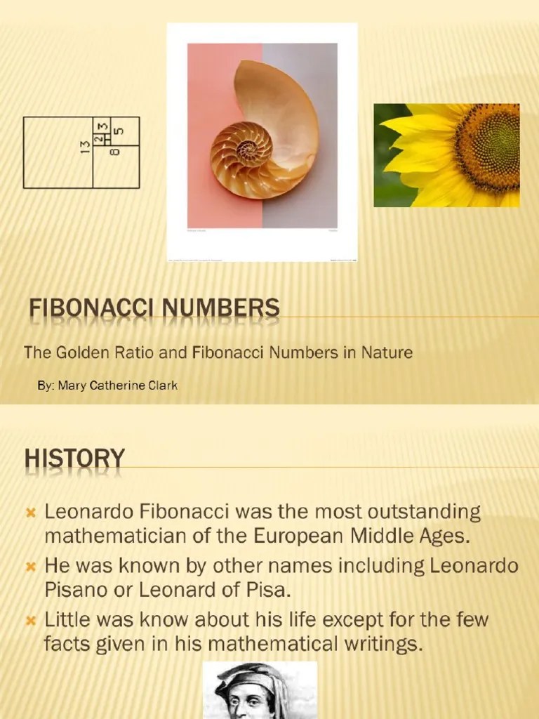 The Golden Ratio And Fibonacci Numbers In Nature PDF | PDF