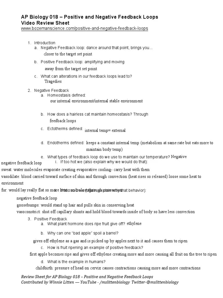 E.g., imagine you are lost on a high snowy mountain. Kami Export Kaelyn Brushett Bozeman Video Positive And Negative Feedback Loops Ws Pdf Glucose Insulin