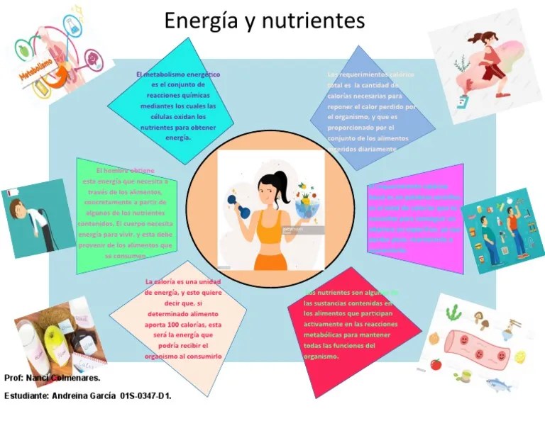 2 Infografia De Energia Y Nutricion | PDF | Nutrientes | Metabolismo