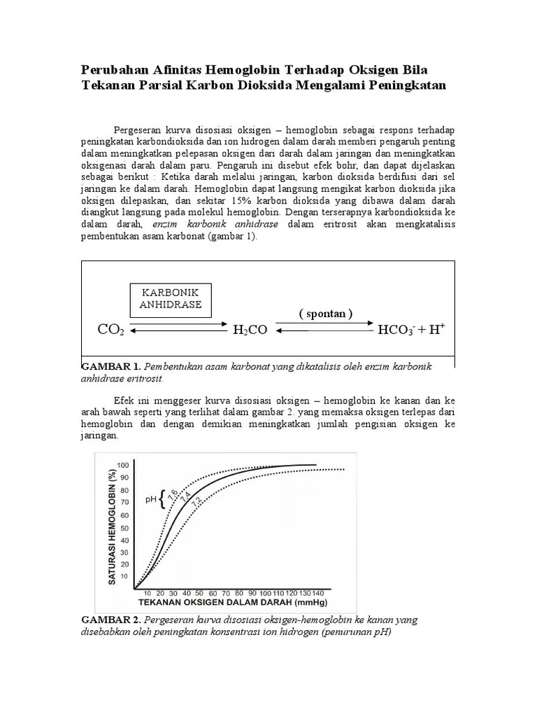 Perubahan Afinitas Hemoglobin Terhadap Oksigen Bila Tekanan Parsial Karbon  Dioksida Mengalami Peningkatan | PDF