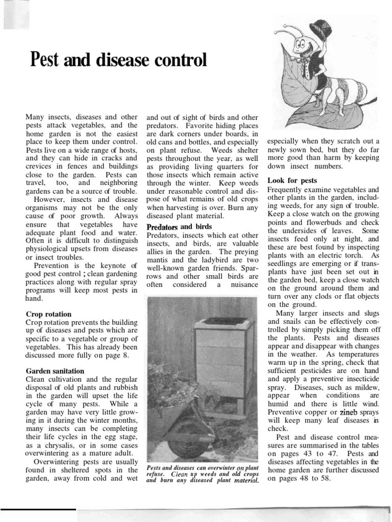 Pest And Disease Control Optimised | PDF | Tomato | Cabbage
