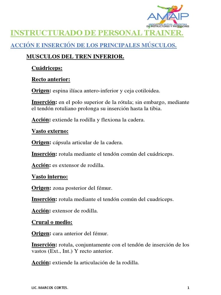 Musculos, Origen, Insercion Y Accion. | PDF | Hombro | La Columna Vertebral