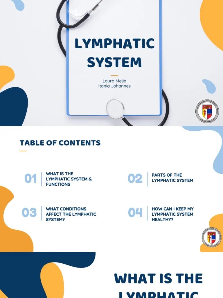 Lymphatic System: Laura Mejia Itania Johannes | PDF | Lymphatic System | Lymph Node