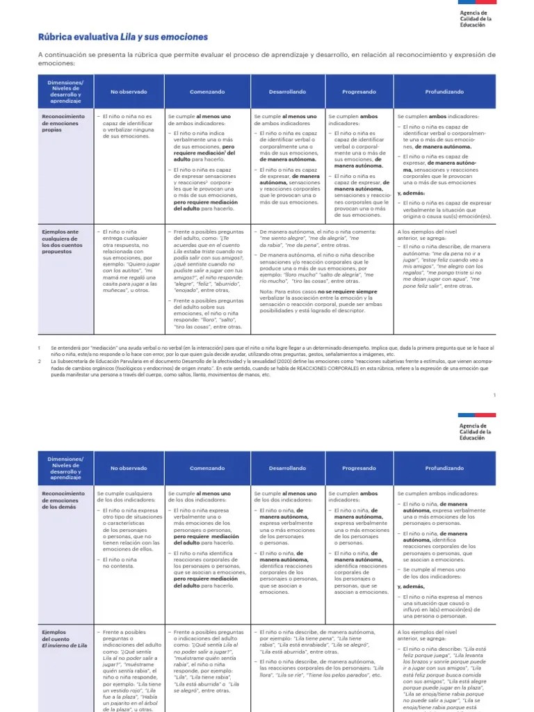 Rúbrica Evaluativa Lila Y Sus Emociones | PDF | Las Emociones | La Naturaleza Humana