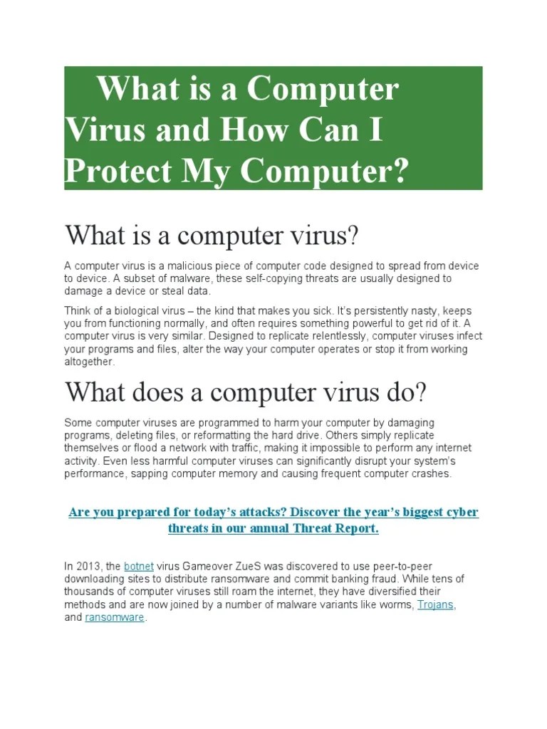 What Is A Computer Virus And How Can I Protect My Computer | PDF ...