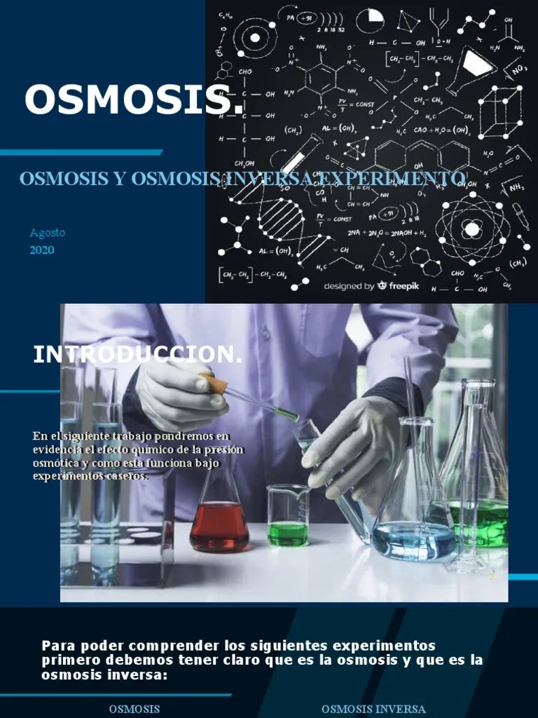OSMOSIS Informe | PDF | Ósmosis | Química