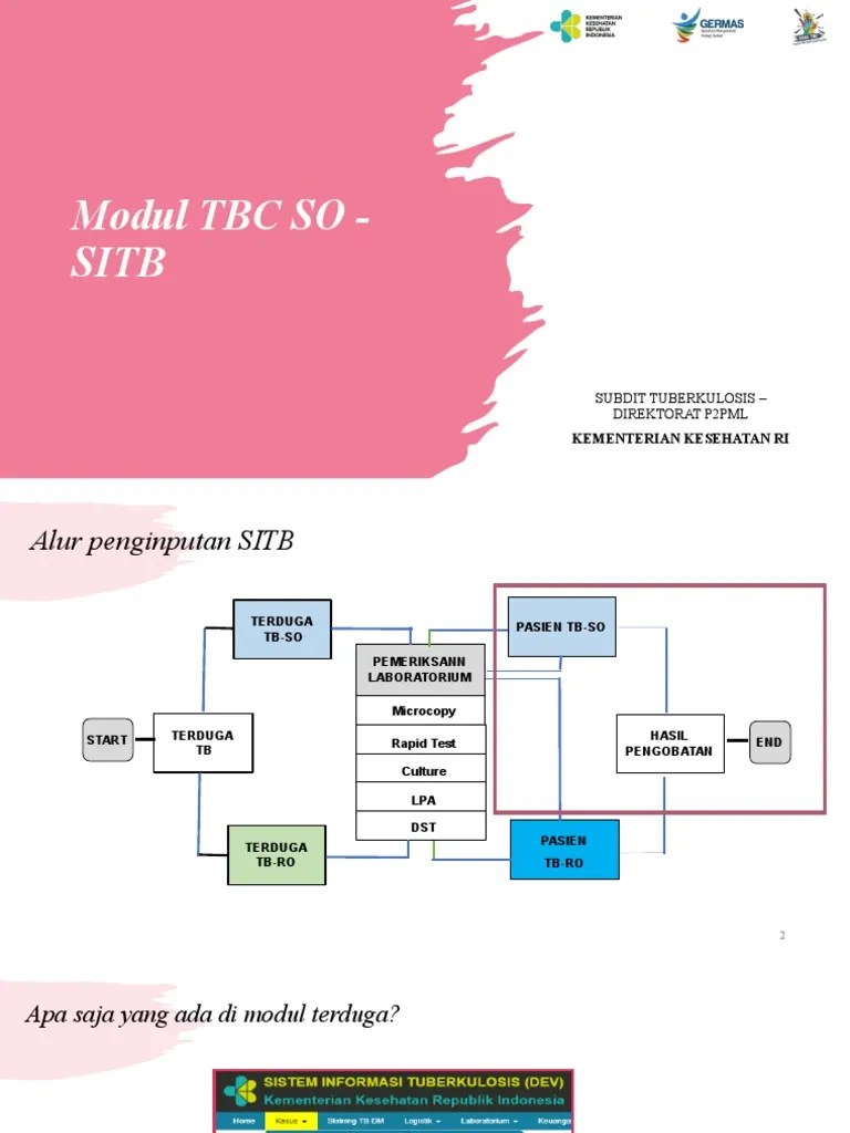 Pemantauan Pengobatan Pasien Tbc So Pdf