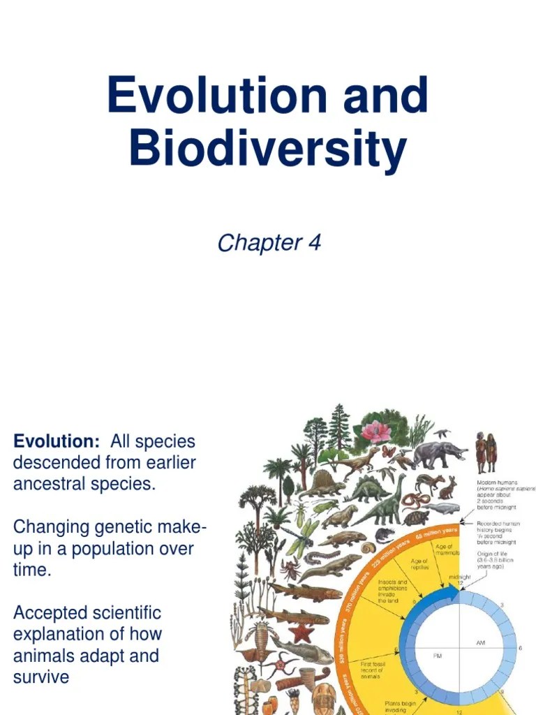 Chapter 4 - Evolution And Biodiversity | PDF | Evolution | Natural Selection