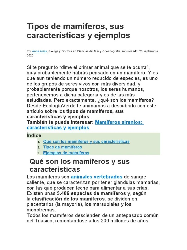 Tipos De Mamíferos | PDF | Mamíferos | Marsupiales