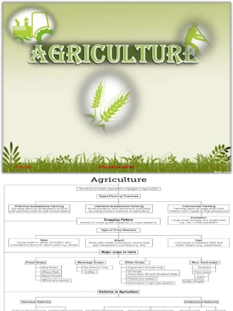 Agriculture | PDF | Legume | Food Security