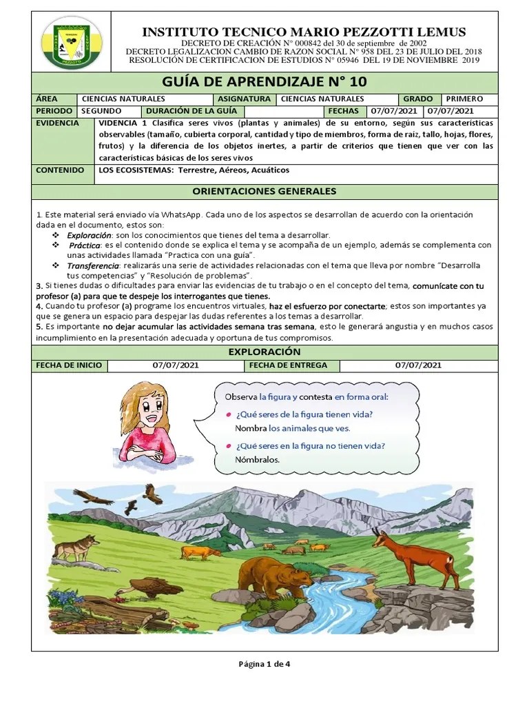 Guia 10 Los Ecosistemas | PDF | Tierra | Entorno Natural
