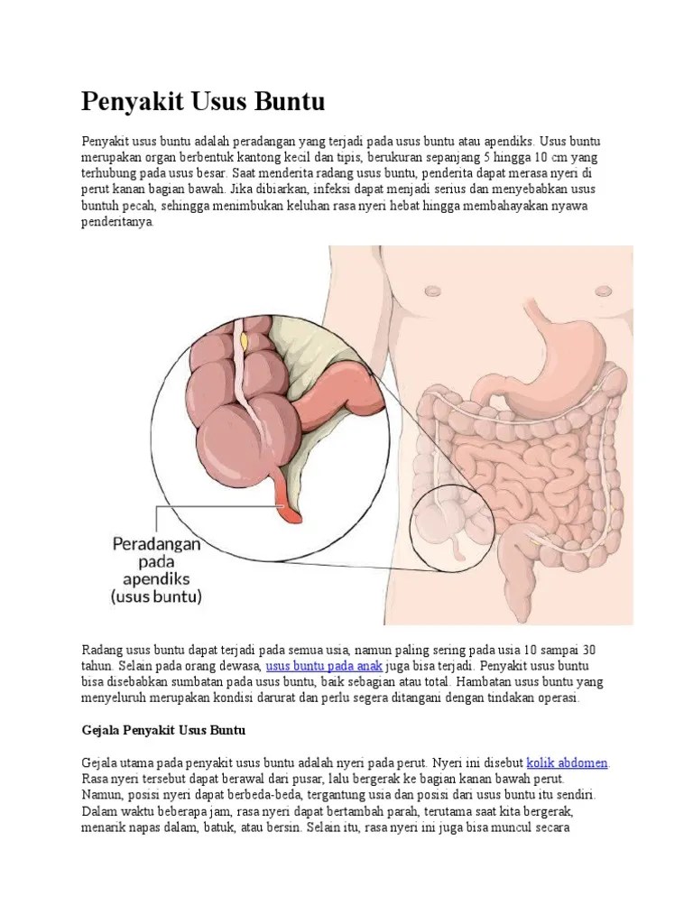Penyakit Usus Buntu | PDF