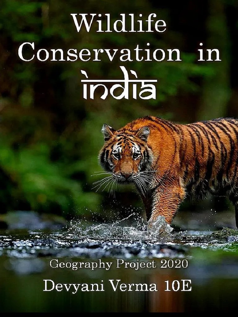 Geography Project 10E | PDF | Wildlife | Conservation Biology
