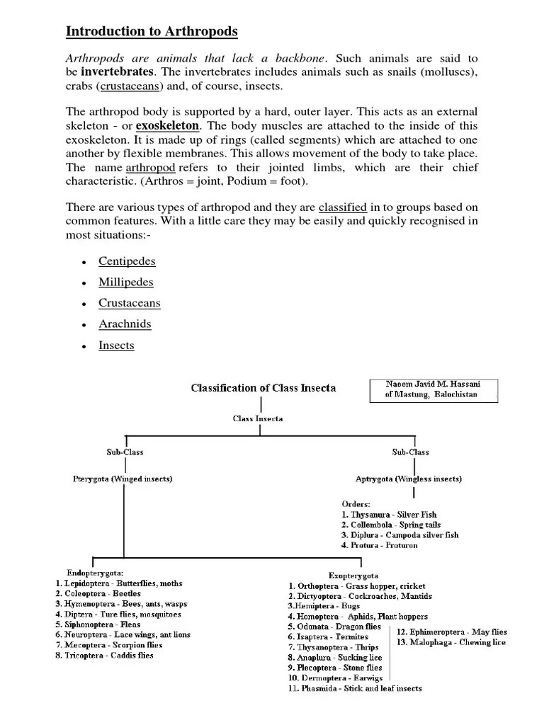 Pest Damage | PDF | Insects | Pest (Organism)