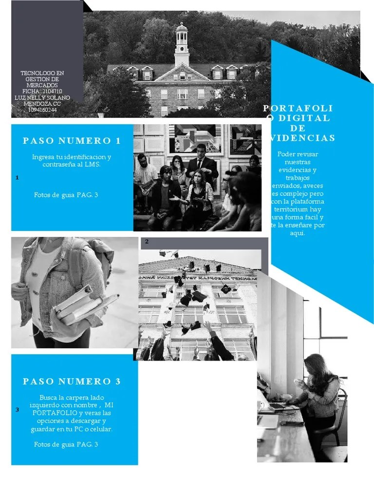 Portafolio De Evidencias Digital | PDF | Aprendizaje | Software