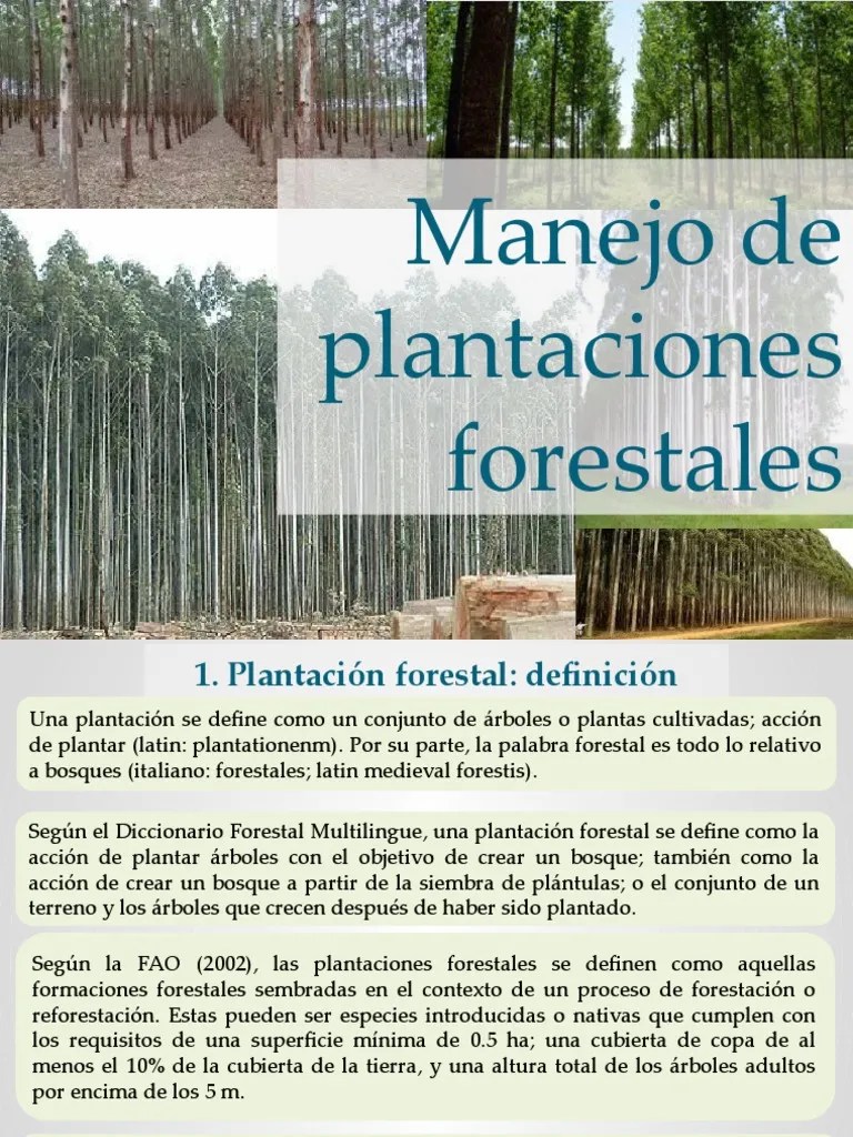 Clase 5.1 - Manejo De Plantaciones Forestales | PDF | Los Bosques | Arboles