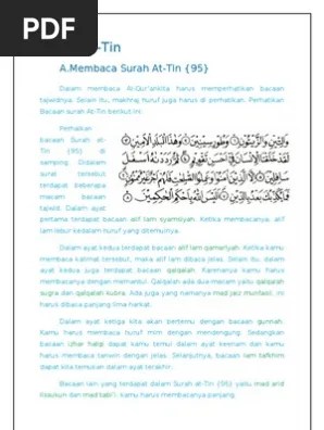 Surat At Tin Beserta Arti Dan Tajwidnya Contoh Seputar Surat Cute766