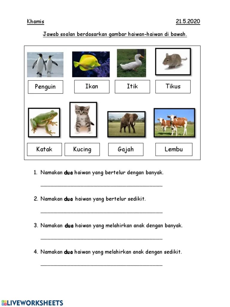 Berbagai hewan yang bisa bertelur seperti ayam, katak, ikan, cicak, bahkan udang ternyata memiliki kesamaan. Pembiakan Haiwan Pdf