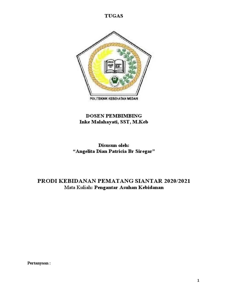 Tugas Pengantar Asuhan Kebidanan | PDF