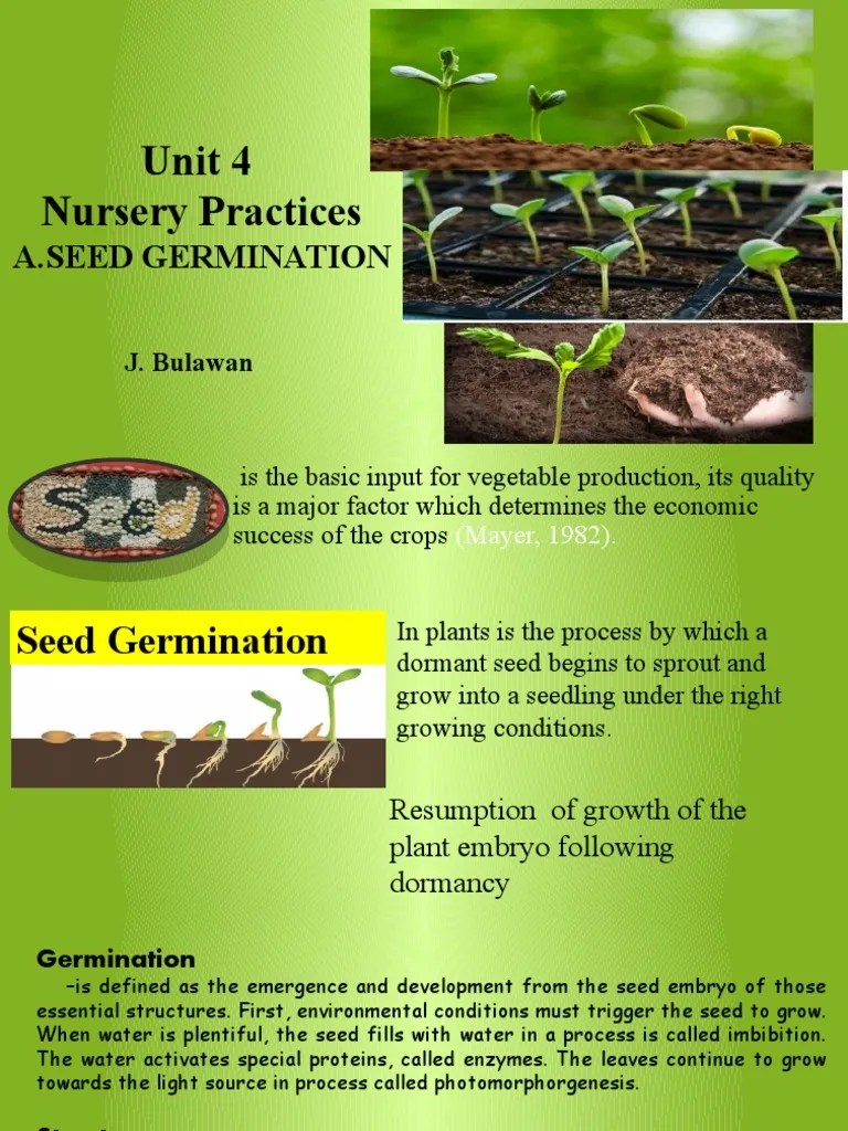 Unit 8. SEED GERMINATION | PDF | Seed | Germination