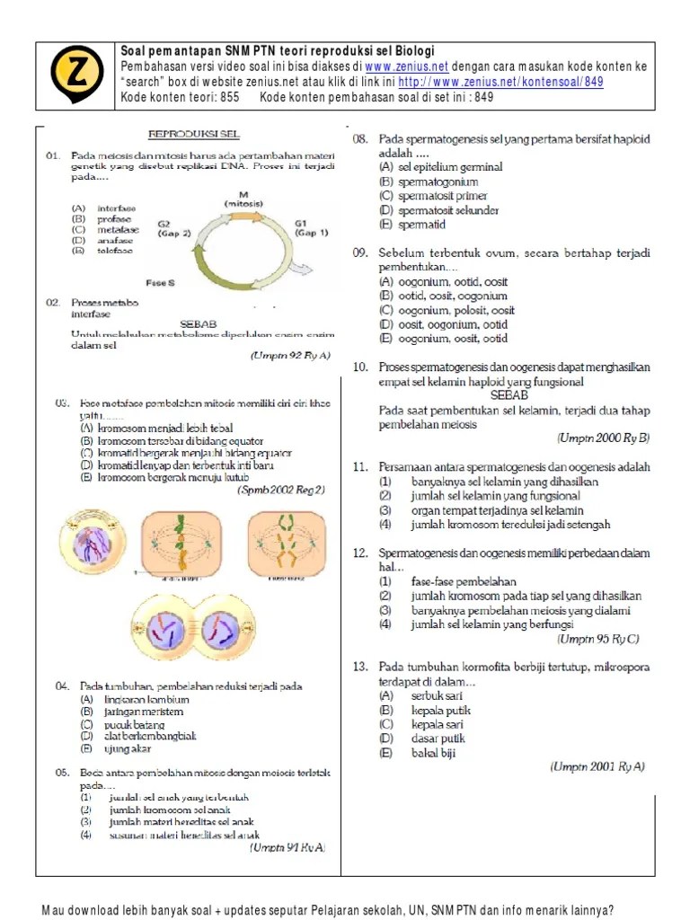 1.yang merupakan tahapan pembelahan dari anafase adalah gambar nomor. Biologi Soal Pemantapan Snmptn Teori Reproduksi Sel Pdf