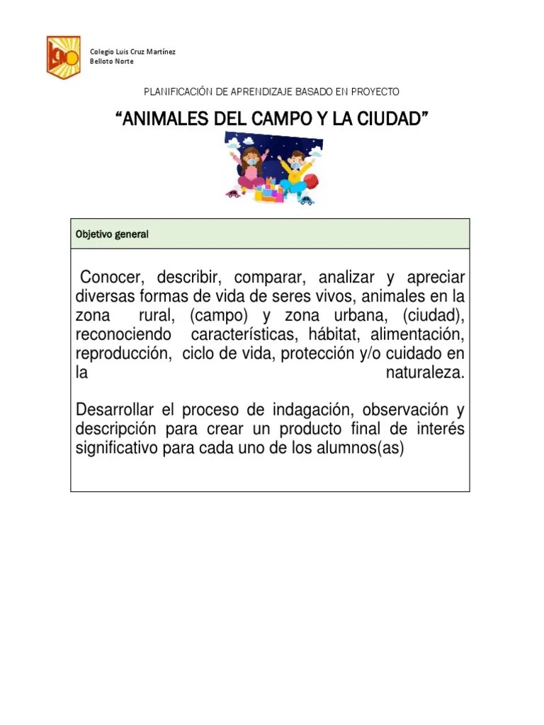 Planificación De Aprendizaje Basado En Proyecto Primero Básico A PDF ...