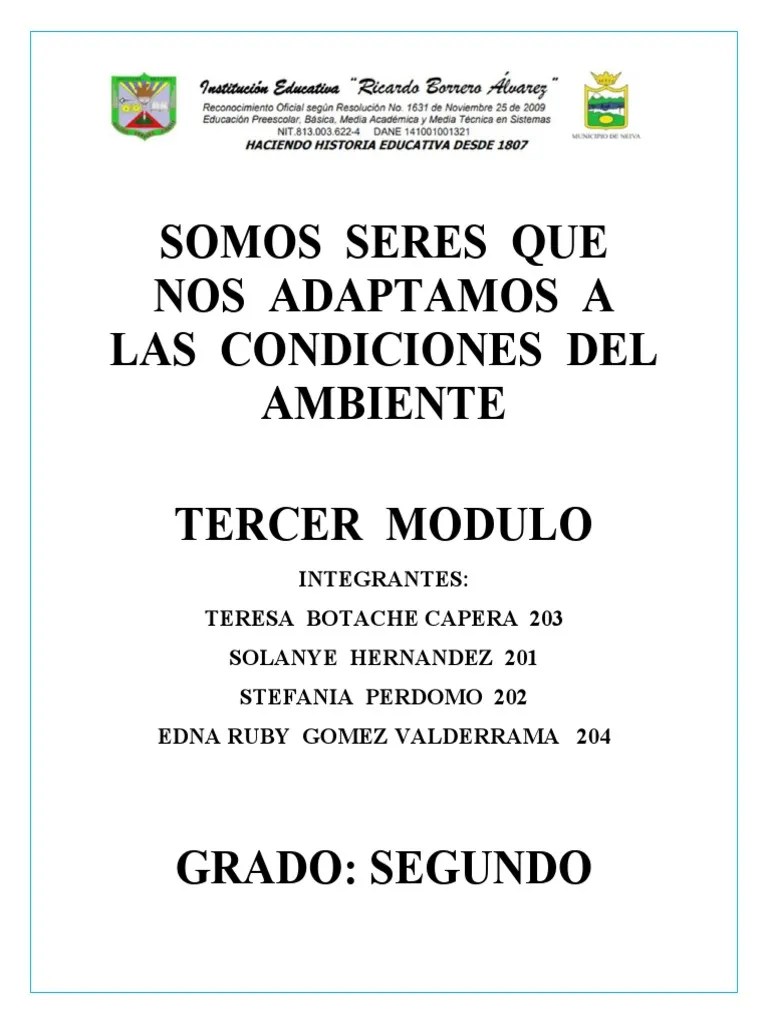 Tercer Periodo Modulo Grado Segundo 2021 | PDF | Aprendizaje | Comunicación