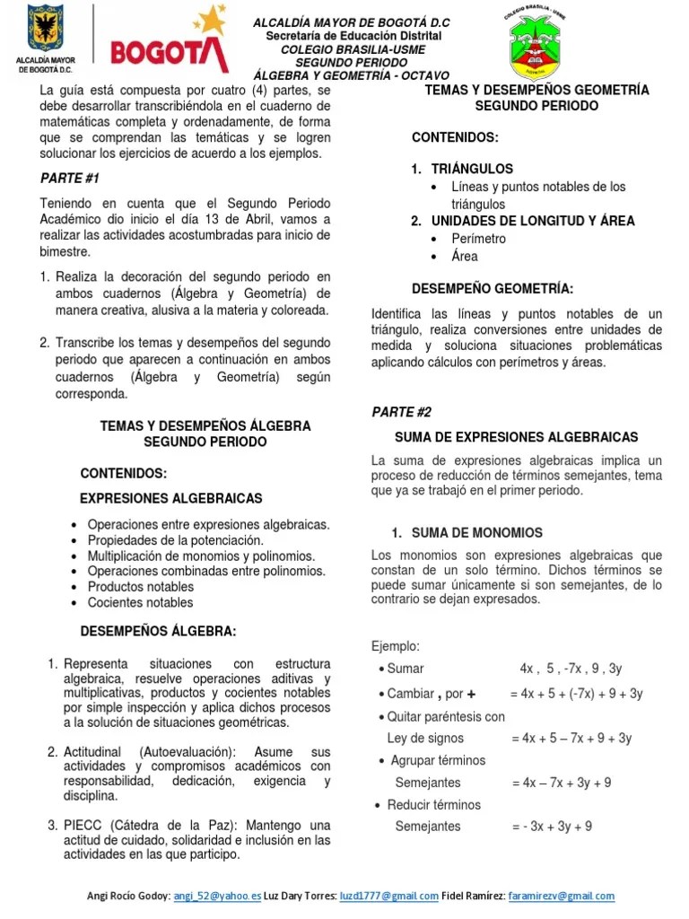 Guía De Álgebra Y Geometría - Imprimir - Octavo | PDF | Triángulo | Matemáticas