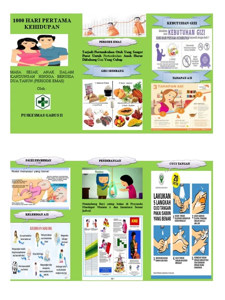 Leaflet 1000 Hari Pertama Kehidupan | PDF