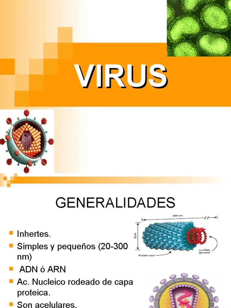 Virus Generalidades | Descargar Gratis PDF | Virus | La Transcriptasa Inversa