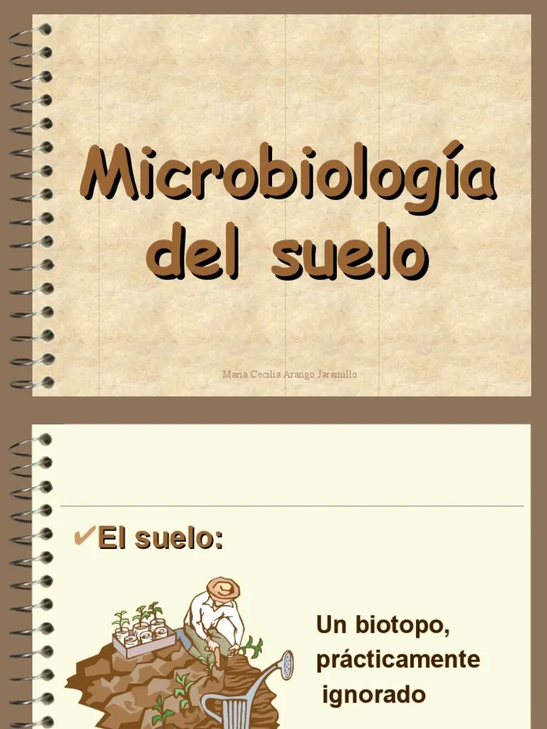 Micro Biologia Del Suelo | PDF | Suelo | Microorganismo