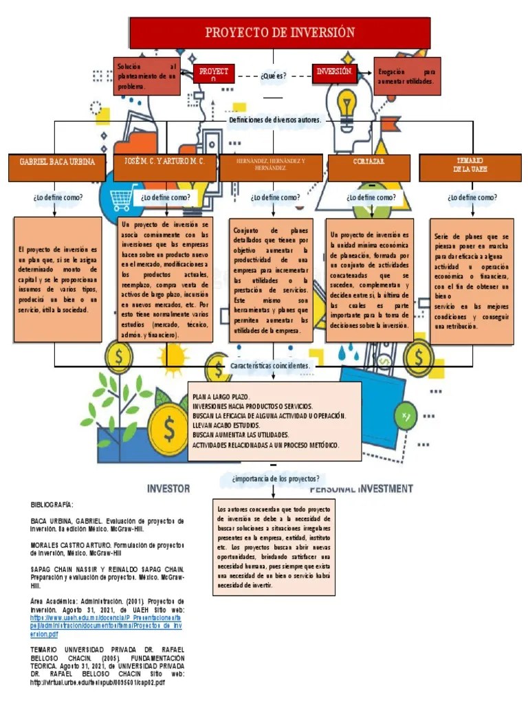 Proyecto De Inversión | PDF | Economias