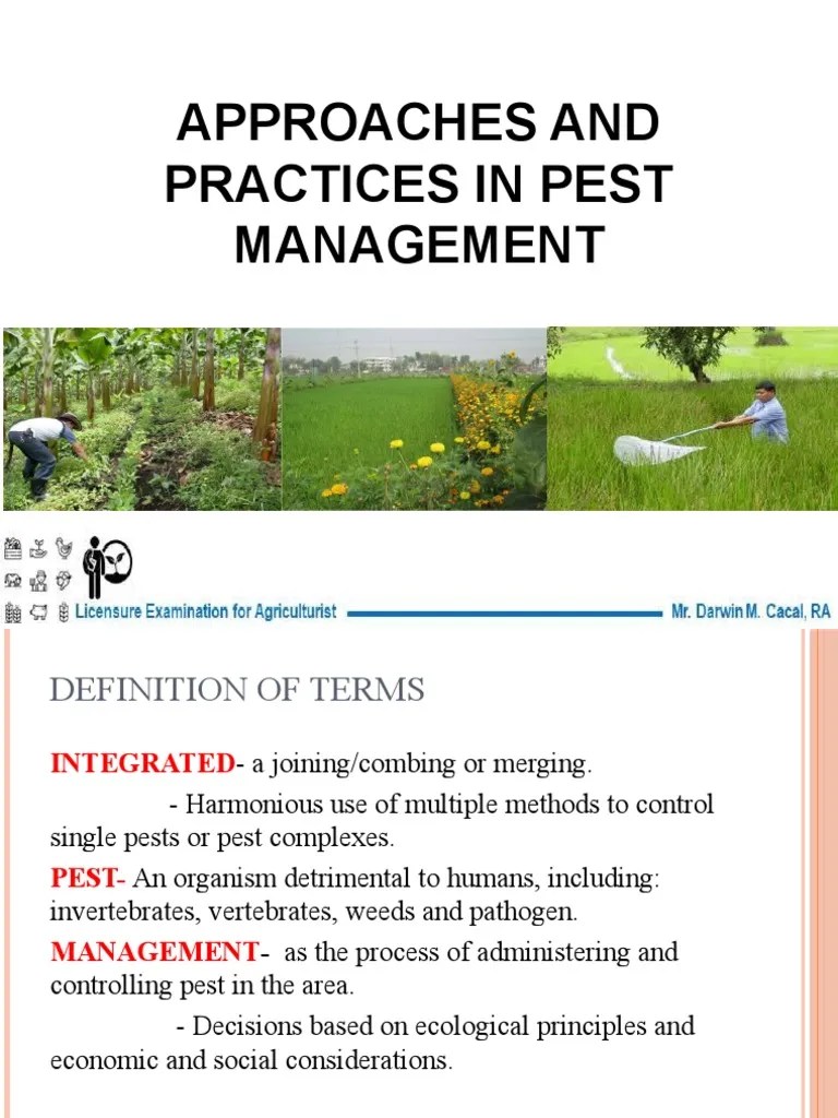 Approaches And Practices In Pest Management | PDF | Pesticide | Pest (Organism)