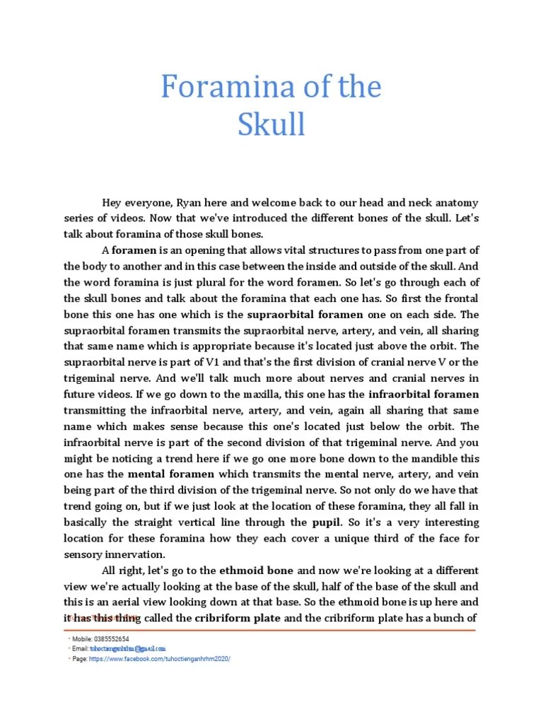 Head Neck Anatomy Foramina Of The Skull INBDE | PDF | Skull | Skeletal System