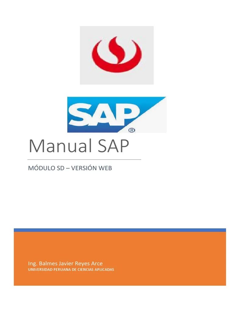 Manual SAP - Web | PDF | Contabilidad | Cliente