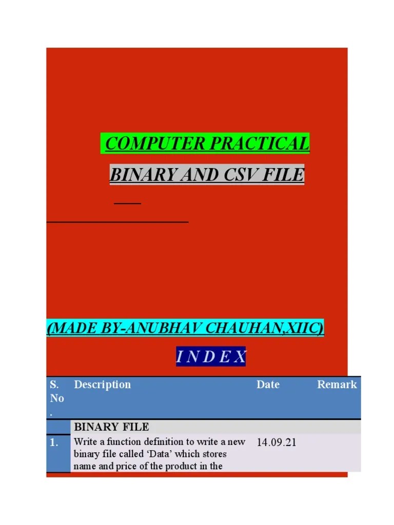 COMPUTER PRACTICAL-Binary And CSV File | PDF | Computer File | Comma ...